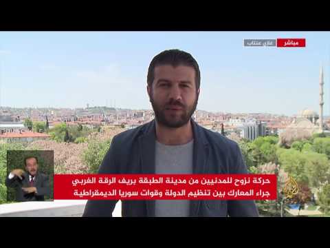 نشرة الإشارة الأولى 2017/4/30