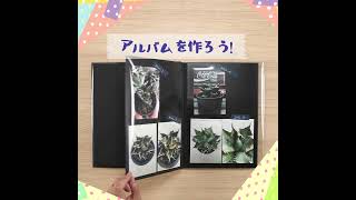 アルバムをつくろう！【植物の成長記録】