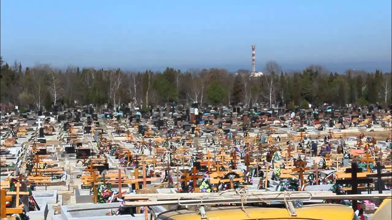 Аллея славы севастополь фото кладбище