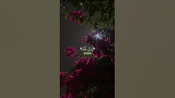 اكتب شيء تؤجر عليه ❤️🌨️ #القارئ عبدالرحمن مسعد