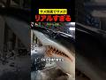 サメ映画でサメがリアルすぎる件