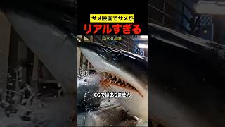 サメ映画でサメがリアルすぎる件
