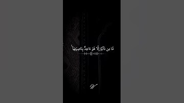 #القارئ فارس عباد #قران_كريم #راحة_نفسية #حالات_واتس #اكسبلور #لايك #تلاوات