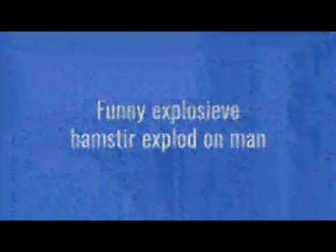 Exploding hamster😲😲