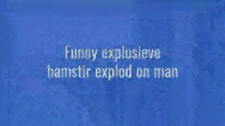 Exploding hamster😲😲