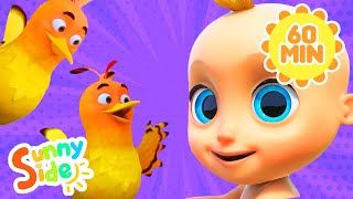 Dos pajaritos | Two Little Dickie Birds español | 60 minutos de Canciones infantiles con Sunnyside