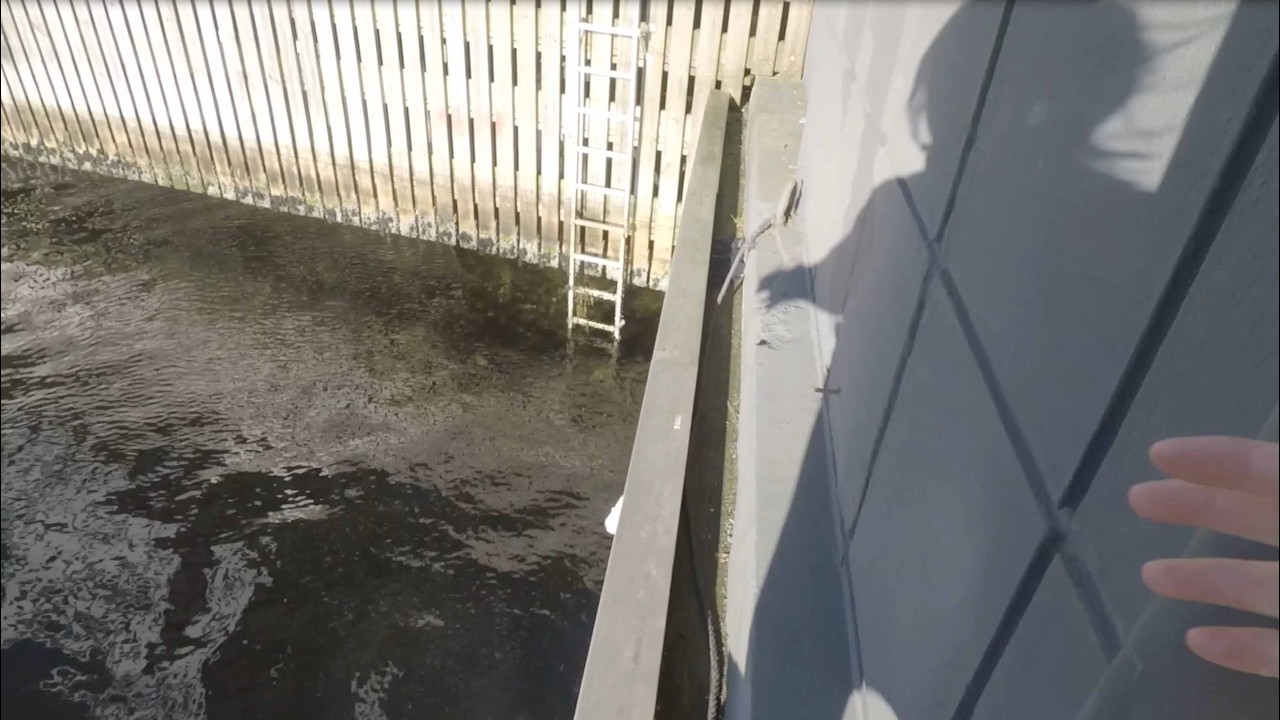 Herfra er utsikten en annen 2025 - kort versjon