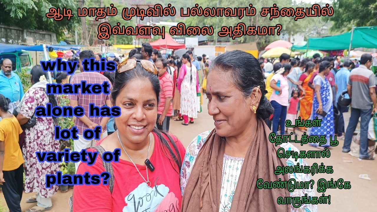 சந்தை வந்தாலே கண்டிப்பாக subcriberயை சந்தித்து விடுவேன் @RajiGowthaman 