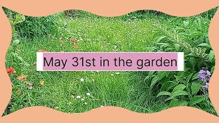May 31st in the garden