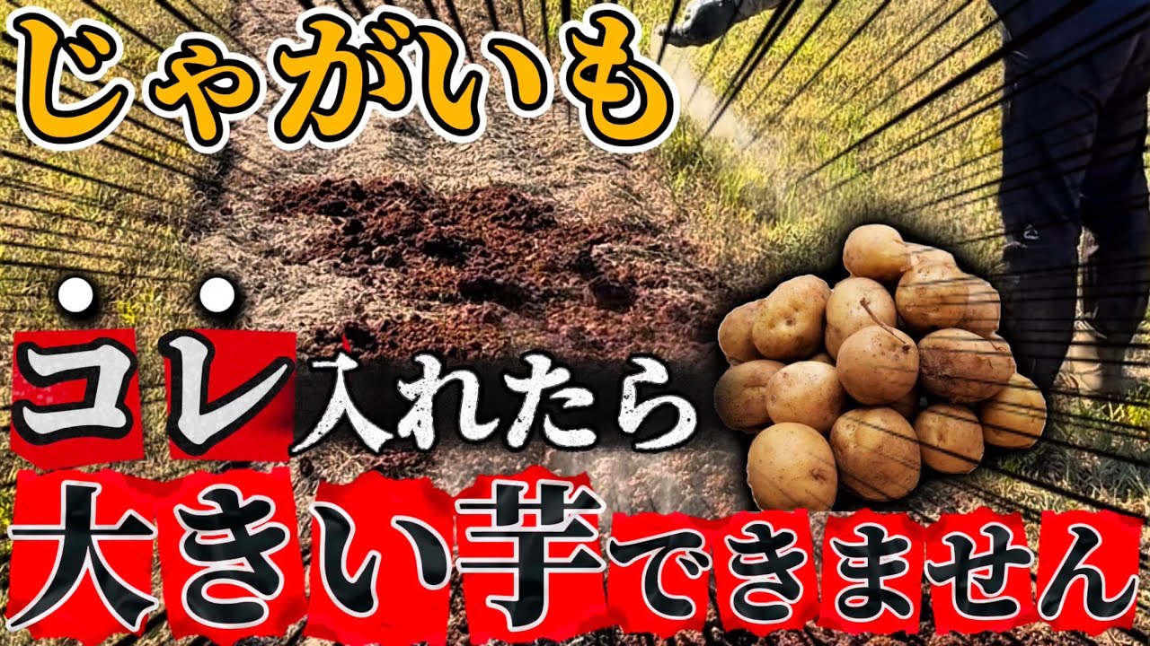 Potatoes] If you add this, you will only get small potatoes. I