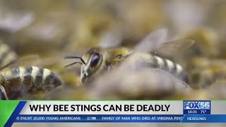 Doctor warns of dangers of bee attacks after Harlan County death