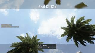 Raid Sui BO2 Plutonium