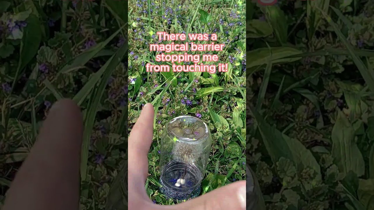 (REPOST KINDA) 💐I found a flower case.. 