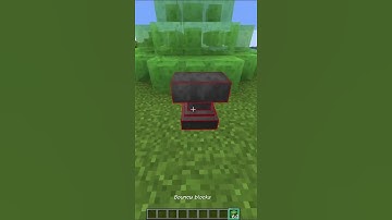 Bouncy block #minecraft#fyp #shorts