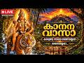 🔥 LIVE: Sabarimala Ayyappan Makara Jyothi Darshan! സ്വാമി ശരണം Swamy Saranam | Divine Forest Lord 🕉️