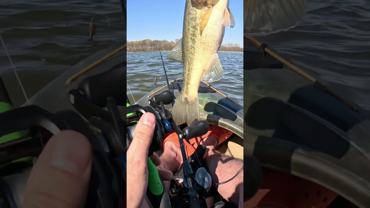 Big swimbait bass fishing in Ohio