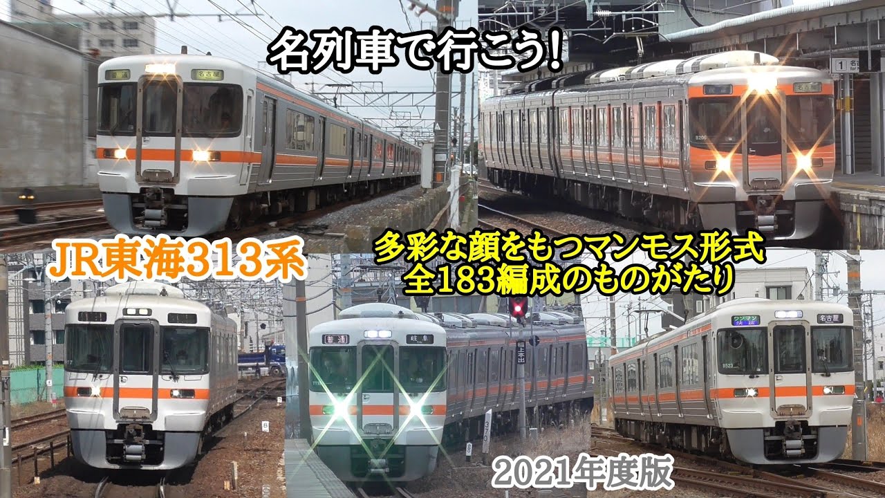 [ 名列車で行こう！] JR東海313系電車 多彩な顔をもつマンモス形式 全183編成のものがたり 2021年度版