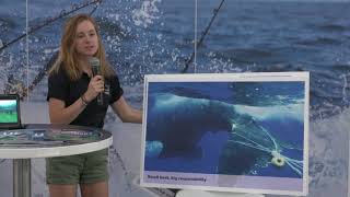 Noaa National Marine Sanctuaries