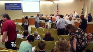 Why activists are fighting over feral felines