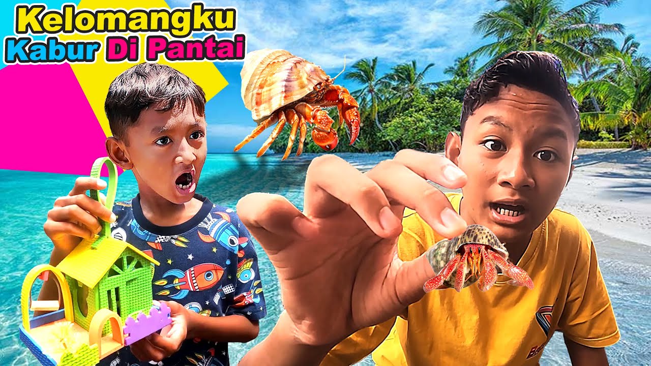 Praya Mencari Keong Kelomang Yang Hilang Di Pantai #funny #video #trending
