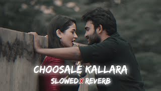 Choosale kallara (slowed reverb) song - sr kalyanamandapam