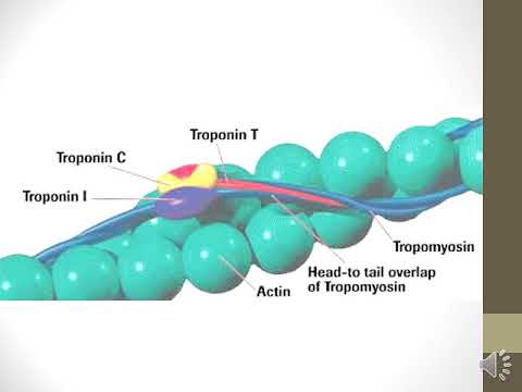 Video: Albumine-fibrinogeenverhouding En Fibrinogeen-prealbumineverhouding Als Veelbelovende Prognostische Markers Voor Kanker: Een Bijgewerkte Meta-analyse