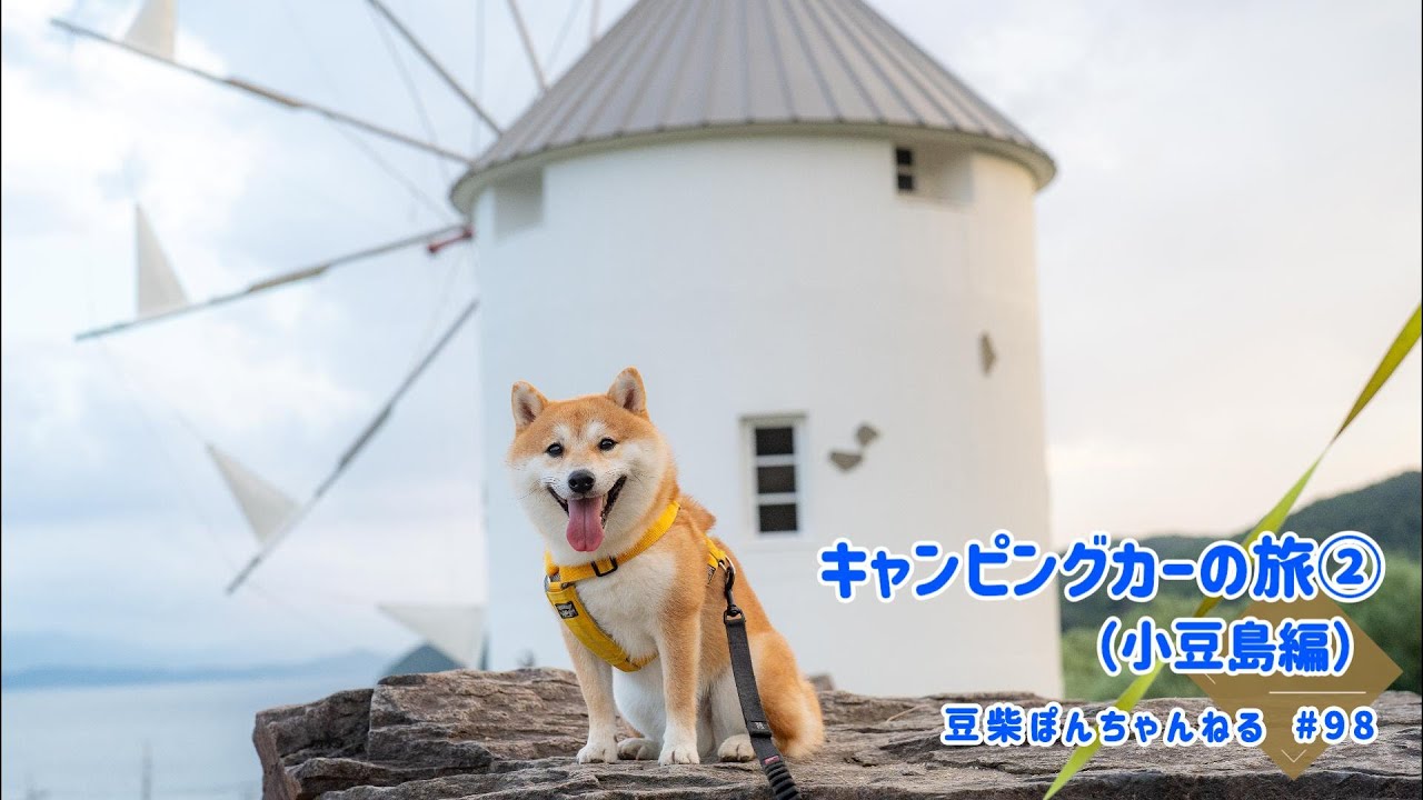 【小豆島編】キャンピングカーで小豆島に初上陸♪ワンちゃんと楽しめる観光地を満喫して来ました✨【＃98】