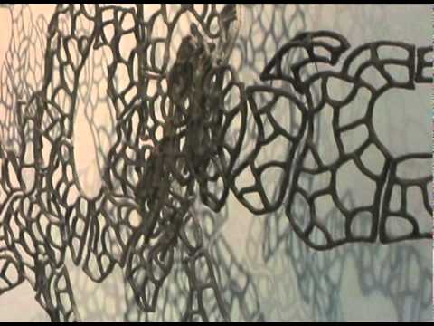 Rhizome - Galerie 5
