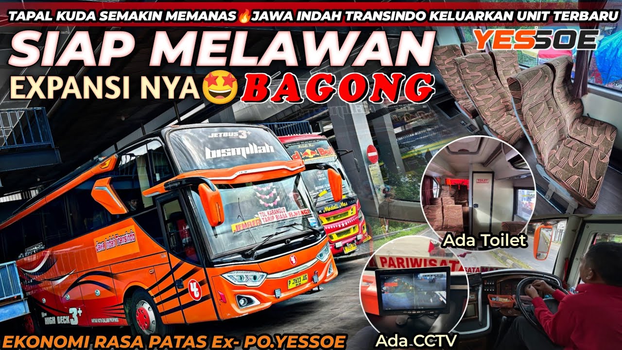Tapal Kuda makin panas🔥‼️Po.Jawa Indah keluarkan Bus Ekonomi rasa Patas buat melawan expansi Bagong😃