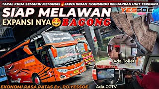 Tapal Kuda makin panas🔥‼️Po.Jawa Indah keluarkan Bus Ekonomi rasa Patas buat melawan expansi Bagong😃