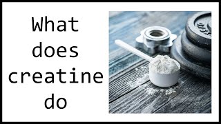 How Does Creatine Help Build Muscle