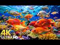 Incredible Aquarium 4K ULTRA HD  Dive Deep &amp; Explore the Ocean's Hidden World - Dream Life