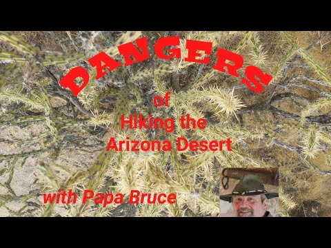 Arizona Desert Hiking Dangers