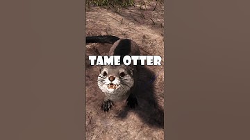 Ark Otter