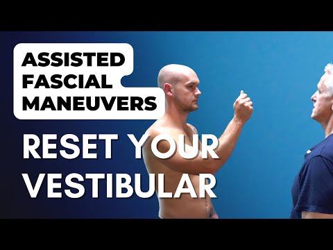 Exercises To Reset Equilibrium