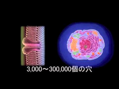unity吸収動画