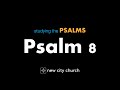 Studying the Psalms - Psalm 8