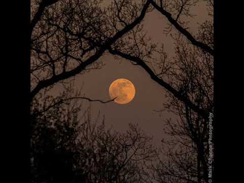 [1Hour] Rob Thomas - Lonely No More