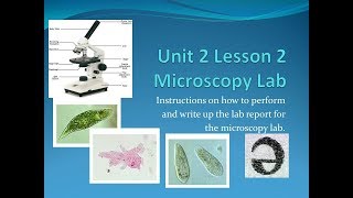 Science 10 | Microscopy Lab and Lab Diagrams