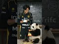 Panda Machine #mobilelegends #viralvideo #esports