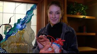 Heart surgery changes Billings man's life, inspiring local care