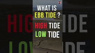 Why a beach disappears in India everyday ? The concept of Ebb tides in Chandipur beach.