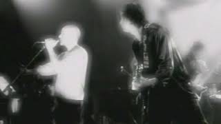 Rem 1999-03-09 Country Feedback
