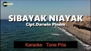 SIBAYAK NI AYAK Tone Pria Pop - Karaoke lagu karo