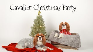 CAVALIER KING CHARLES CHRISTMAS PARTY | Vlogmas Herky The Cavalier