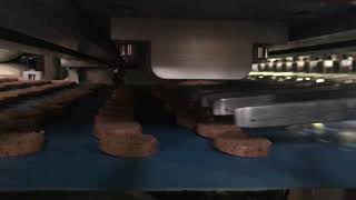 Skywin Wire-Cut Cookie Machine screenshot 4