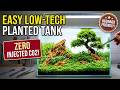 EASY Low-Tech Planted Tank Setup for Beginners (Zero CO2!)