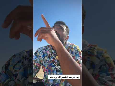 موسم الشعم براس تنورة Fishing صيد بحر