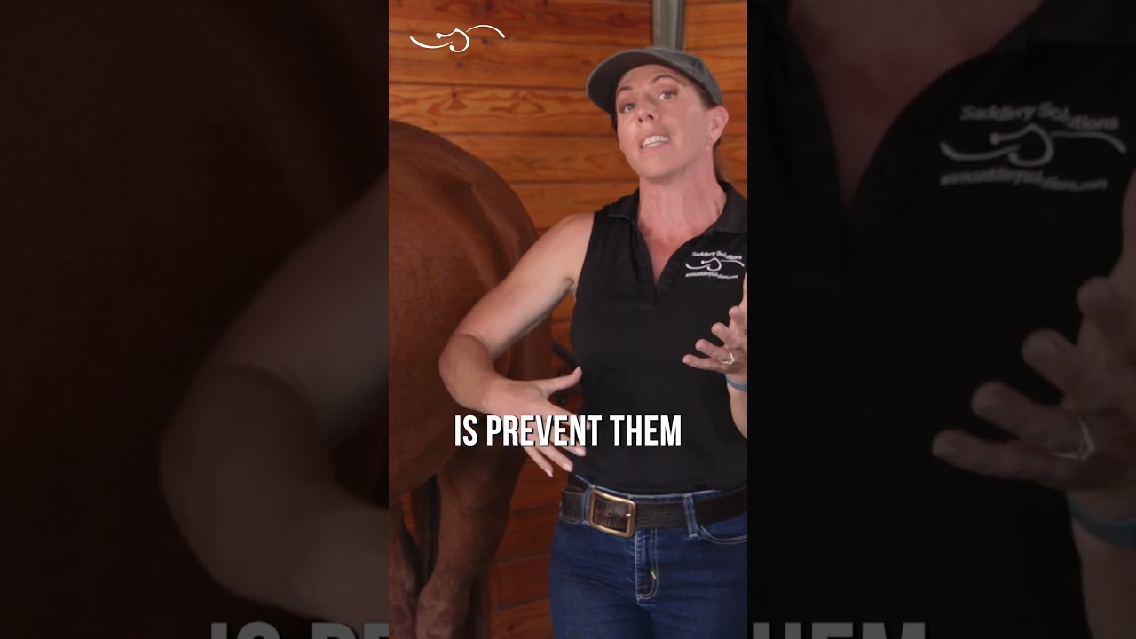 Most common cause of “girthiness” or “cinchiness” in your horse! 