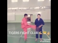 TIGERS FIGHT CLUB